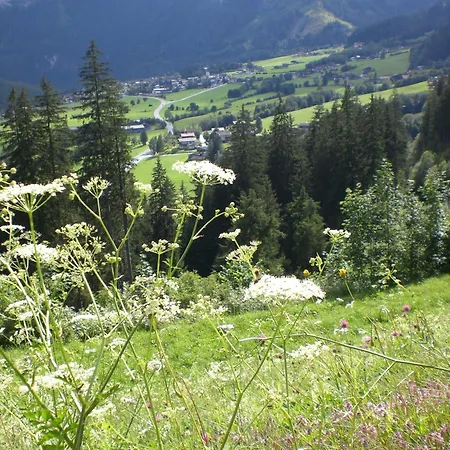 Gruppen Und Familienhof Falkenstein